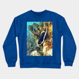 Fish - Catfish Swimming Forward Crewneck Sweatshirt